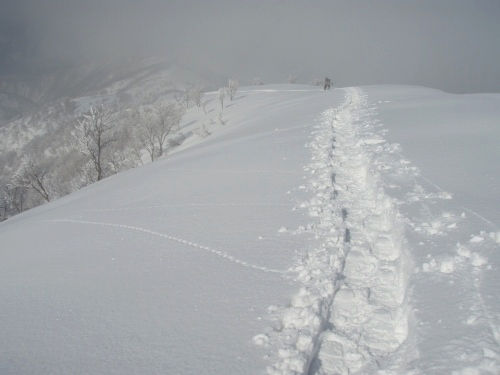 b0050067_23203566.jpg