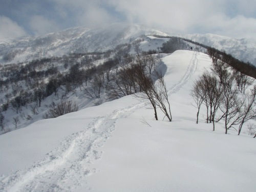 b0050067_23314370.jpg