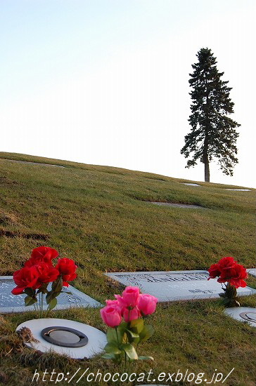 e0128367_1534670.jpg