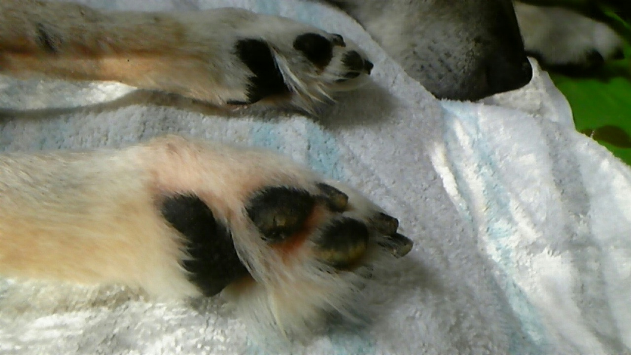 c0171468_915537.jpg