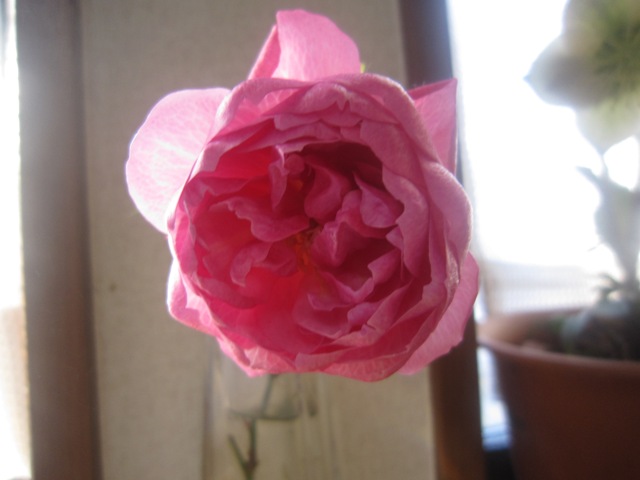 c0202870_19143917.jpg