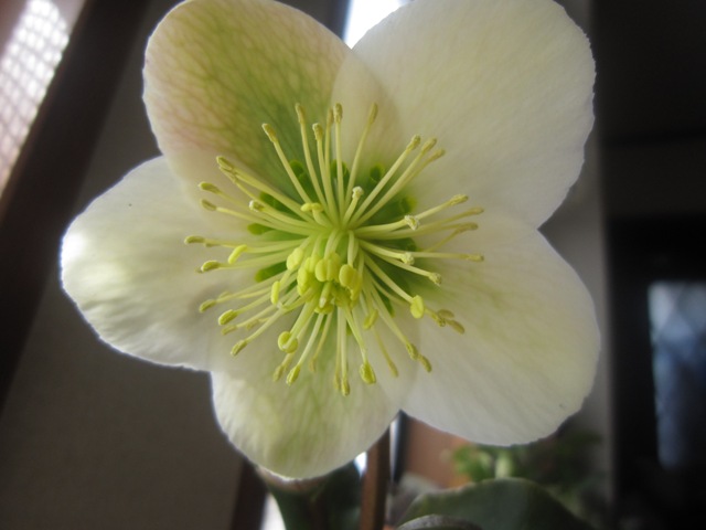 c0202870_1918729.jpg