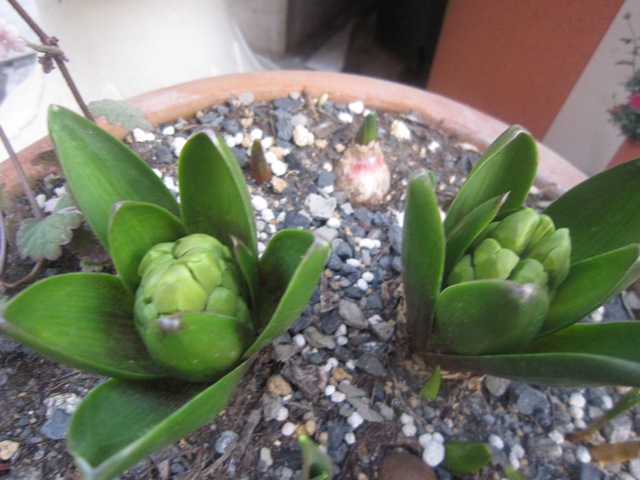 c0202870_1920250.jpg