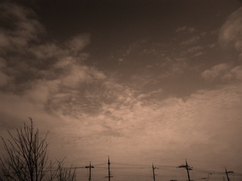 e0114371_12253338.jpg