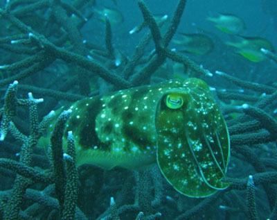 b0033573_1861718.jpg
