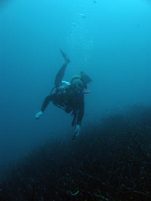 b0033573_18676.jpg