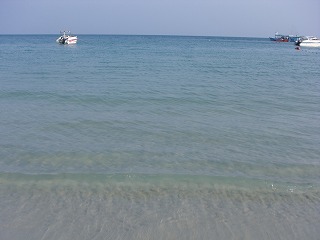 d0144077_2335014.jpg