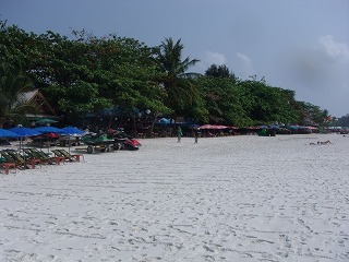 d0144077_3174416.jpg