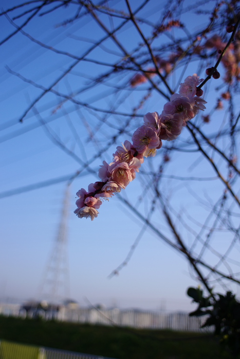 b0120979_13263860.jpg