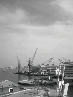 f0100480_20251812.jpg