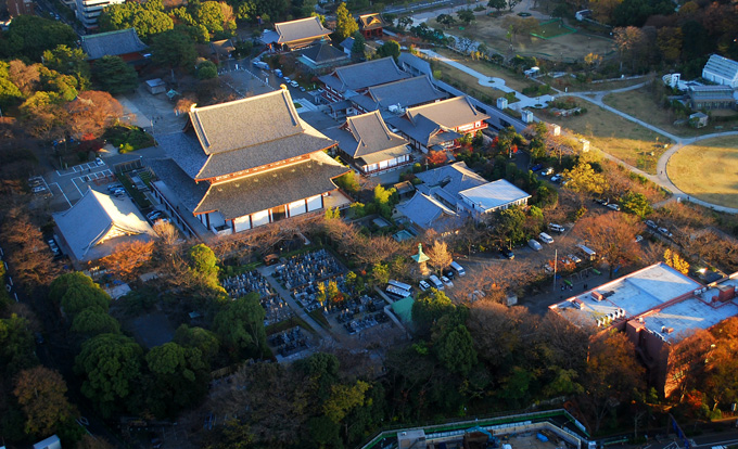c0009981_1129490.jpg