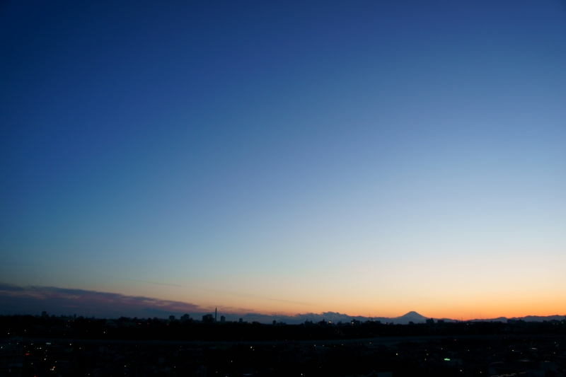 a0185693_5335298.jpg