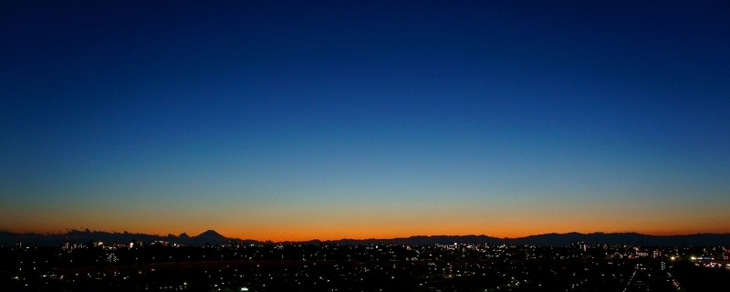 a0185693_534273.jpg