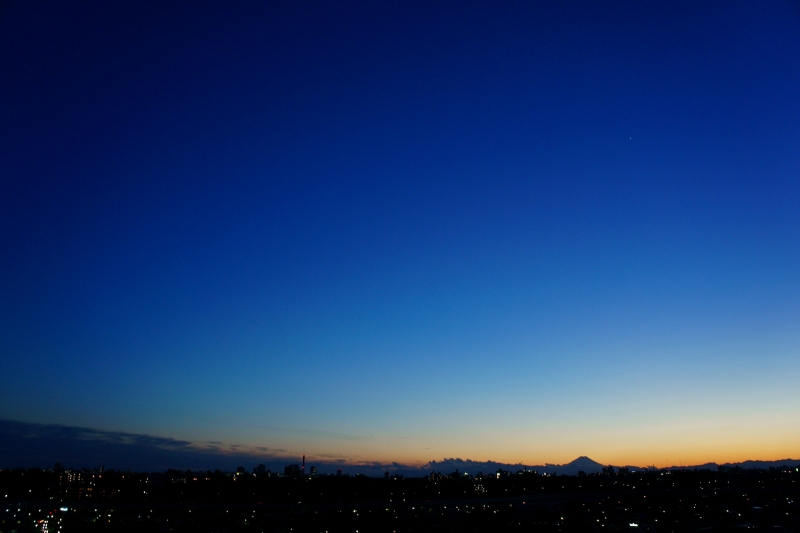 a0185693_534520.jpg