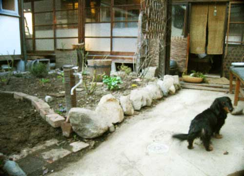 d0077603_1519848.jpg