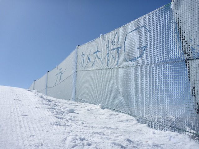 b0187505_20532337.jpg