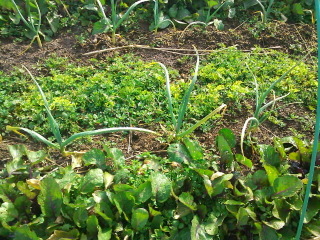 f0144707_21154148.jpg