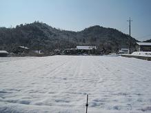c0195309_11455139.jpg