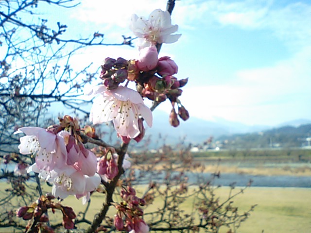 f0231709_15544942.jpg