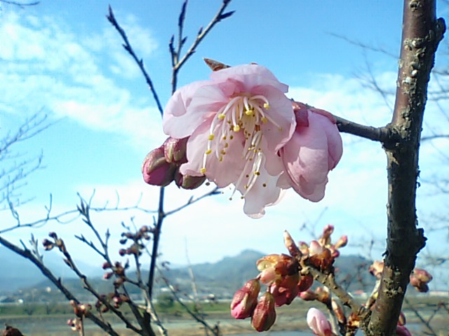 f0231709_1555244.jpg