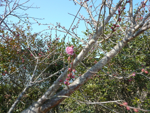 b0125311_01792.jpg