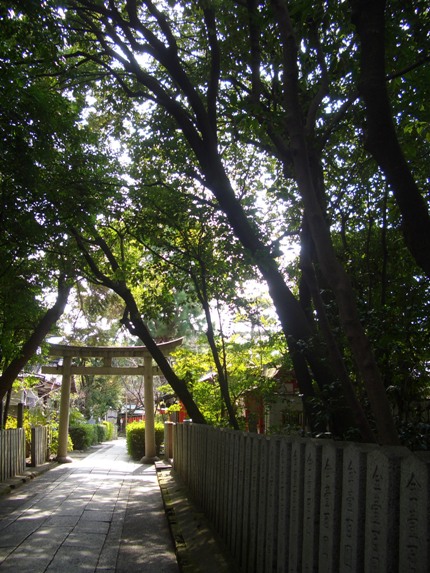 e0033713_943675.jpg