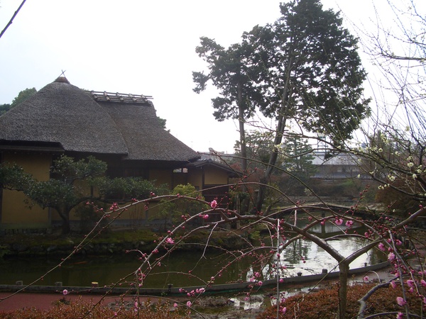e0033713_972446.jpg