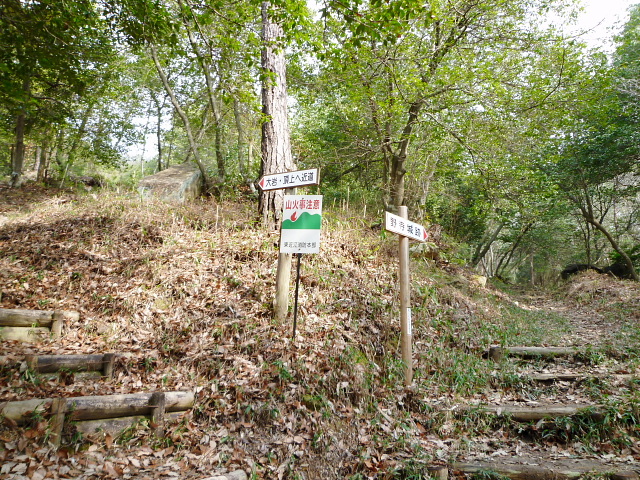 d0170615_12544261.jpg