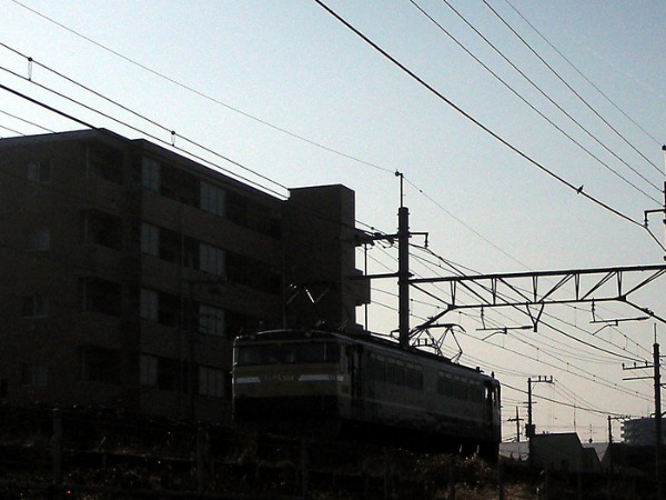 e0039316_6463985.jpg