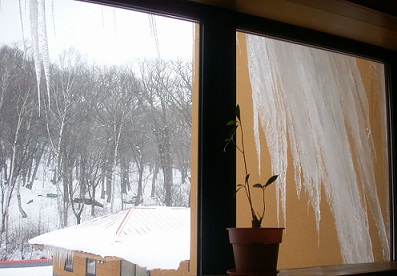a0053420_12345546.jpg