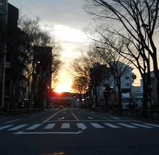 e0156222_02162.jpg