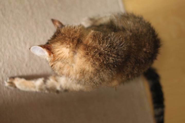 f0055228_20234063.jpg