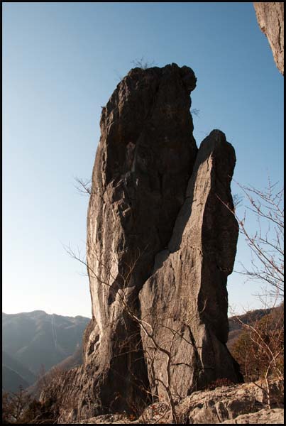 d0029829_20251492.jpg