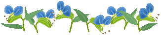 c0123031_22225798.gif