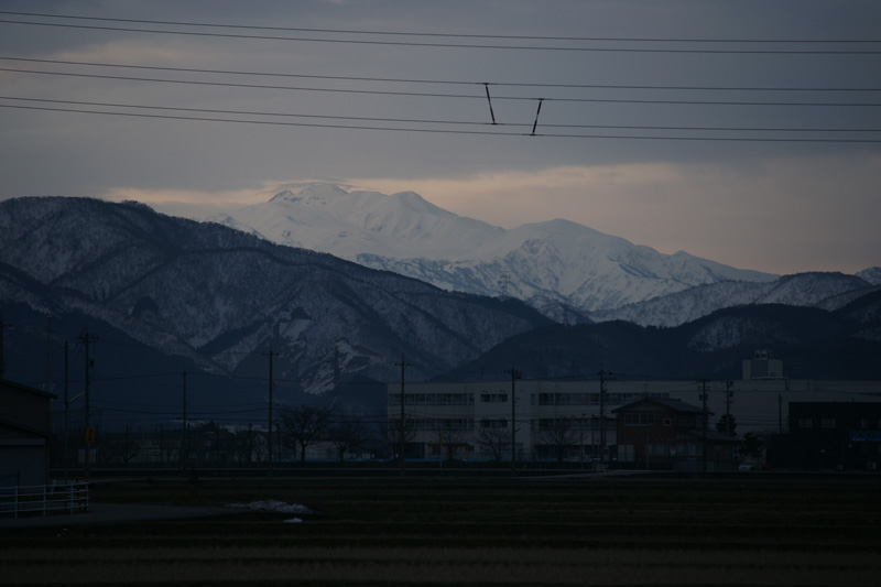 b0177233_5394476.jpg