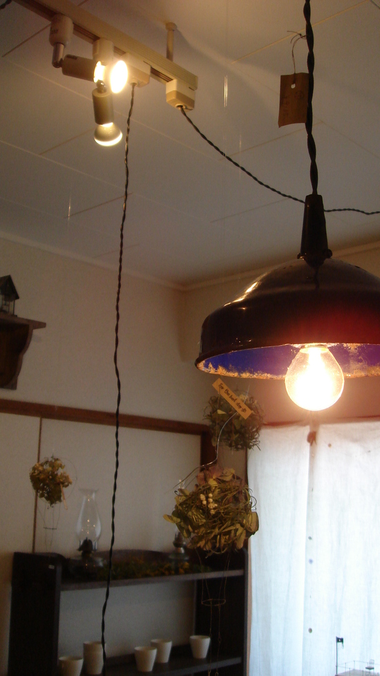 c0100534_874080.jpg