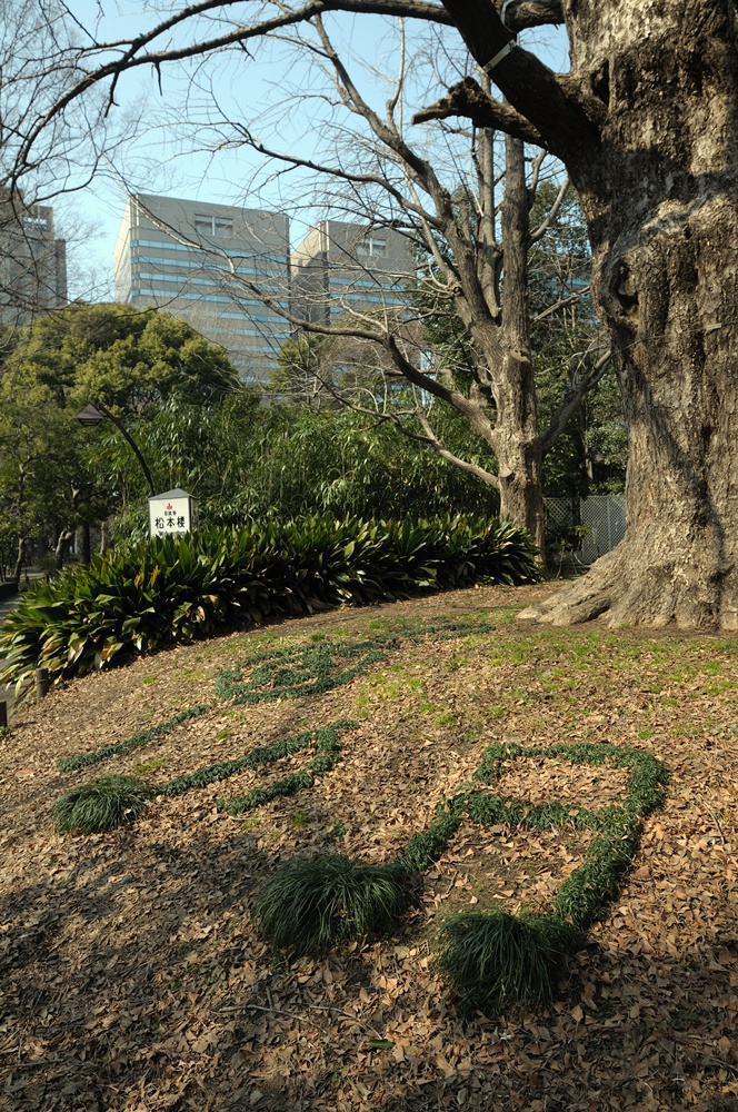 c0221838_12191249.jpg