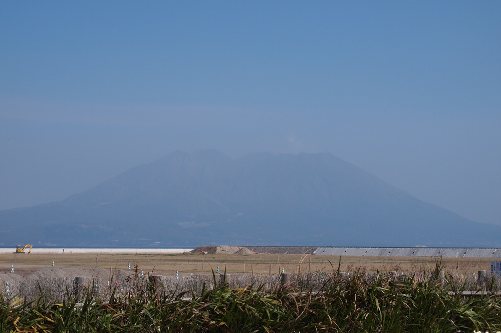 a0146442_8472940.jpg