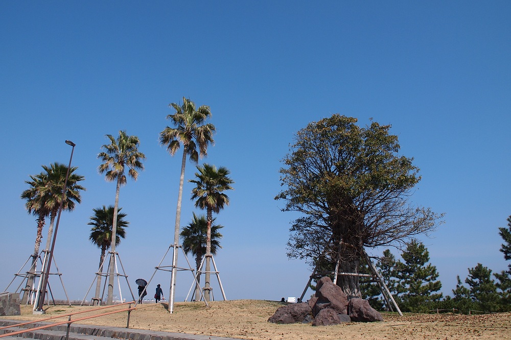 a0146442_8512233.jpg