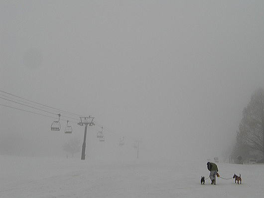 f0094843_153111.jpg