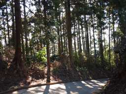 f0096147_20532198.jpg