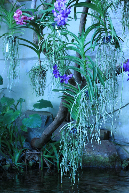 f0142953_2246320.jpg