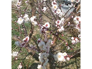 f0061067_22235949.jpg