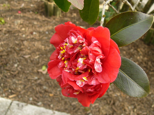 a0114469_1914221.jpg