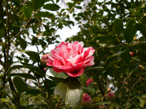 a0114469_191439100.jpg