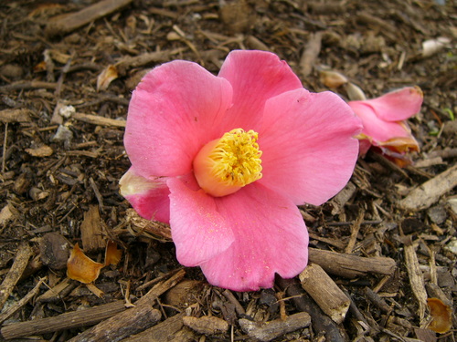 a0114469_19182426.jpg