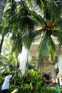 c0108673_0494137.jpg