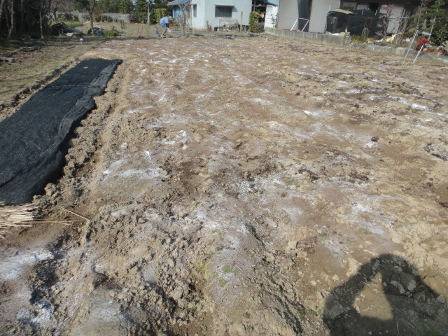 f0137275_511129.jpg
