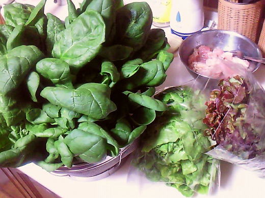 f0145575_21114267.jpg