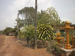 d0144077_2342379.jpg